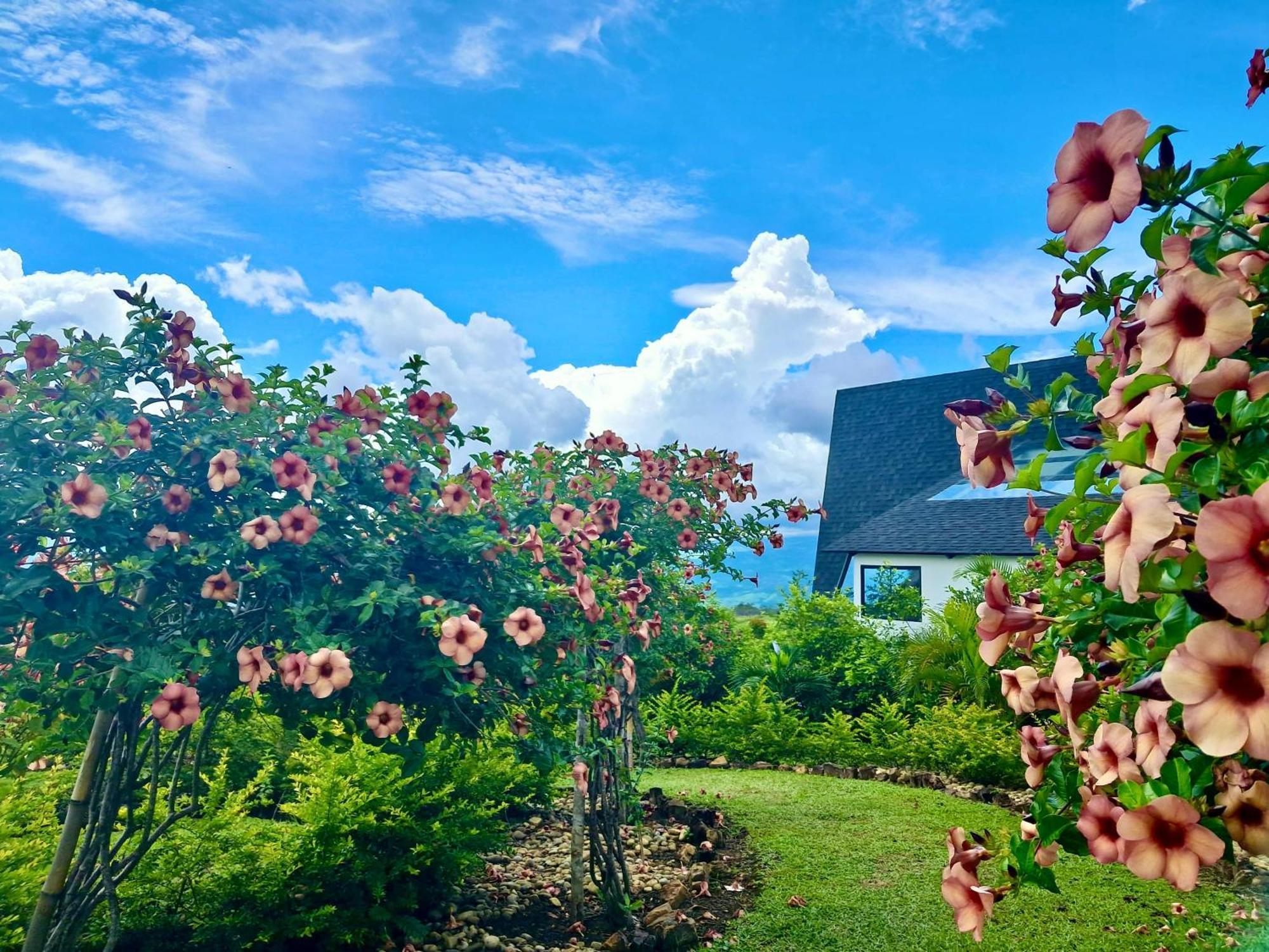 El Resort De Yanashpa - Тарапото Экстерьер фото